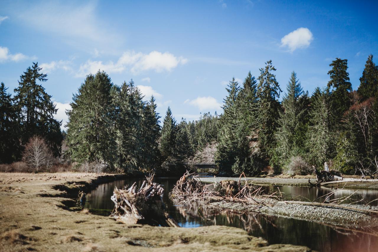 Port Hardy Cabins Екстер'єр фото